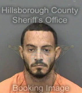 Rodriguezegan Noel - Hillsborough County, Florida 