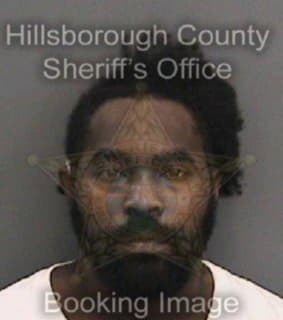 Mitchell David - Hillsborough County, Florida 