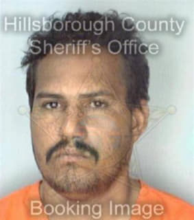 Melendez Henry - Hillsborough County, Florida 