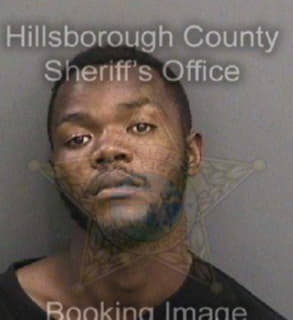 Bedell Chris - Hillsborough County, Florida 