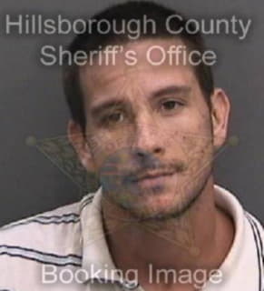 Perez Damien - Hillsborough County, Florida 