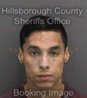 Rodriguez Frank - Hillsborough County, Florida 