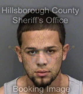 Perez Joseph - Hillsborough County, Florida 