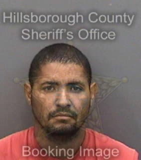 Rosariobeltran Julian - Hillsborough County, Florida 