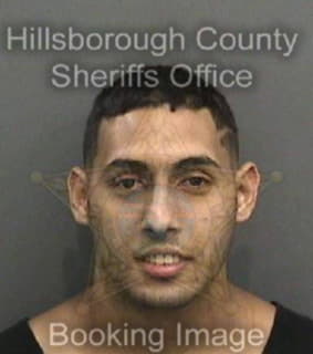 Rivera Jeset - Hillsborough County, Florida 