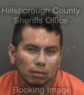 Parrales Albert - Hillsborough County, Florida 