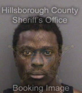 Dawkins Artavis - Hillsborough County, Florida 