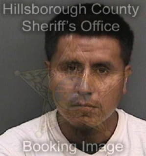 Caxgarcia Carlos - Hillsborough County, Florida 