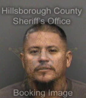 Collin Jose - Hillsborough County, Florida 