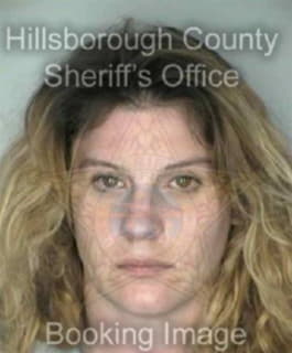 Devane Mandy - Hillsborough County, Florida 