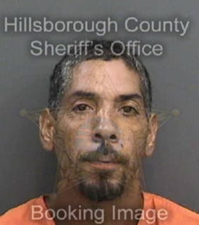 Nieves Pedro - Hillsborough County, Florida 