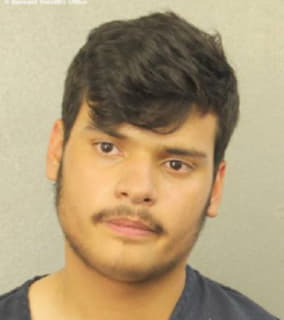 Torres Edwin - Broward County, Florida 