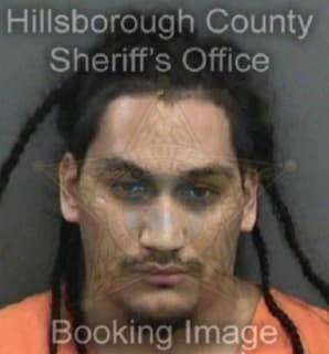 Vasquez Ivan - Hillsborough County, Florida 