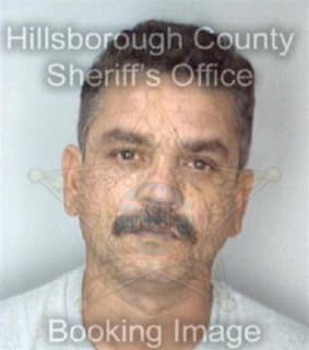 Antunez Julio - Hillsborough County, Florida 