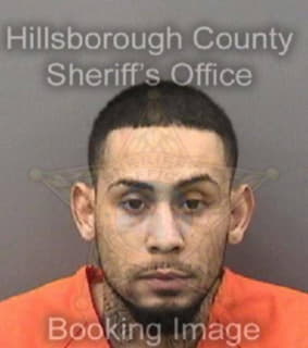 Lugo Kristopher - Hillsborough County, Florida 