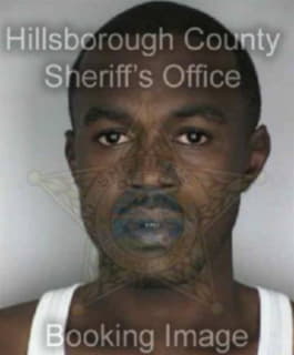 Williams Michael - Hillsborough County, Florida 