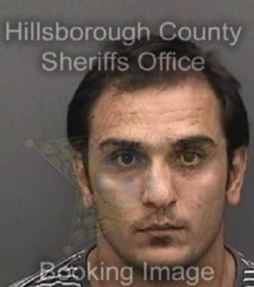 Aliyev Temur - Hillsborough County, Florida 