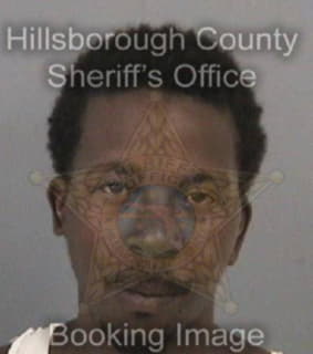 Williams Vincent - Hillsborough County, Florida 