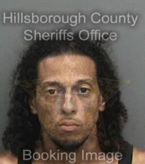 Perez Luis - Hillsborough County, Florida 