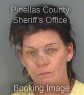 Mcgarrey Patricia - Pinellas County, Florida 