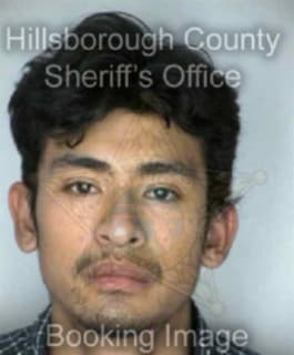 Martinez Ricardo - Hillsborough County, Florida 