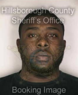 Mccoy Michael - Hillsborough County, Florida 