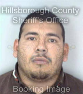 Rodriguez Ramiro - Hillsborough County, Florida 