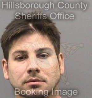 Knezevic Aleksandar - Hillsborough County, Florida 