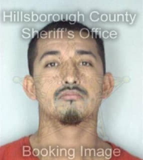 Perez Carlos - Hillsborough County, Florida 