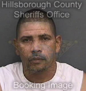 Mejias David - Hillsborough County, Florida 