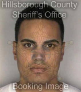 Diaz Josue - Hillsborough County, Florida 