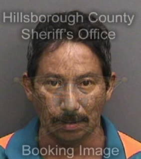 Delarosa Guillermo - Hillsborough County, Florida 