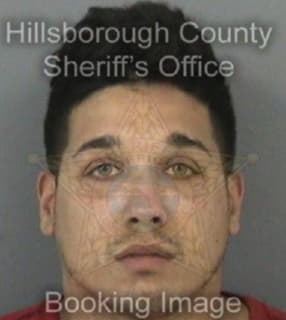 Rodriguez Michael - Hillsborough County, Florida 