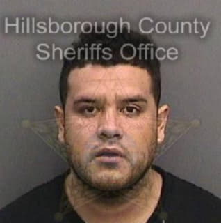 Meza Jose - Hillsborough County, Florida 