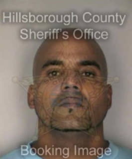 Cotto Luis - Hillsborough County, Florida 