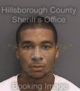 Mcbride Sylvester - Hillsborough County, Florida 