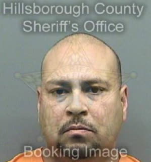 Alarcon David - Hillsborough County, Florida 