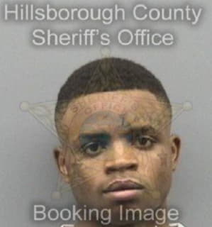 Wilson Ketavious - Hillsborough County, Florida 