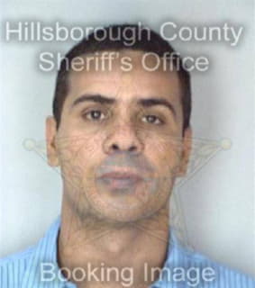 Aponte Luis - Hillsborough County, Florida 