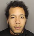 Francisco Pauley - Greenville County, South Carolina 