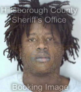 Davis Reginald - Hillsborough County, Florida 