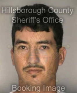 Carrillo Eleazer - Hillsborough County, Florida 