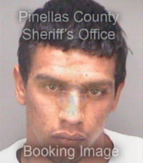 Gomez Hector - Pinellas County, Florida 