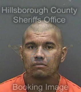 Ledesma Juan - Hillsborough County, Florida 