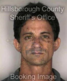 Roman David - Hillsborough County, Florida 