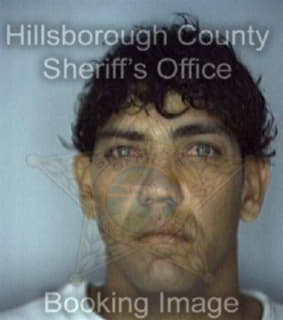 Hernandez Harry - Hillsborough County, Florida 