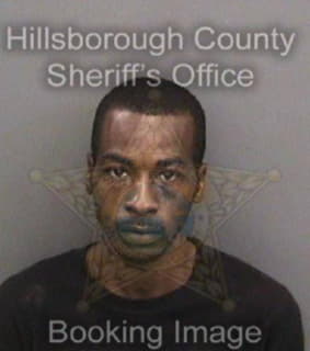 Wilkerson Leangelo - Hillsborough County, Florida 