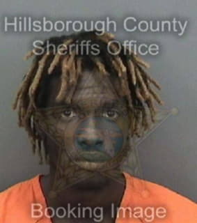 Johnson Maurice - Hillsborough County, Florida 