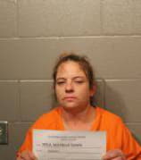 Welk Michelle - Cleveland County, Oklahoma 