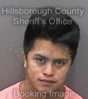 Nimajuan Sergio - Hillsborough County, Florida 